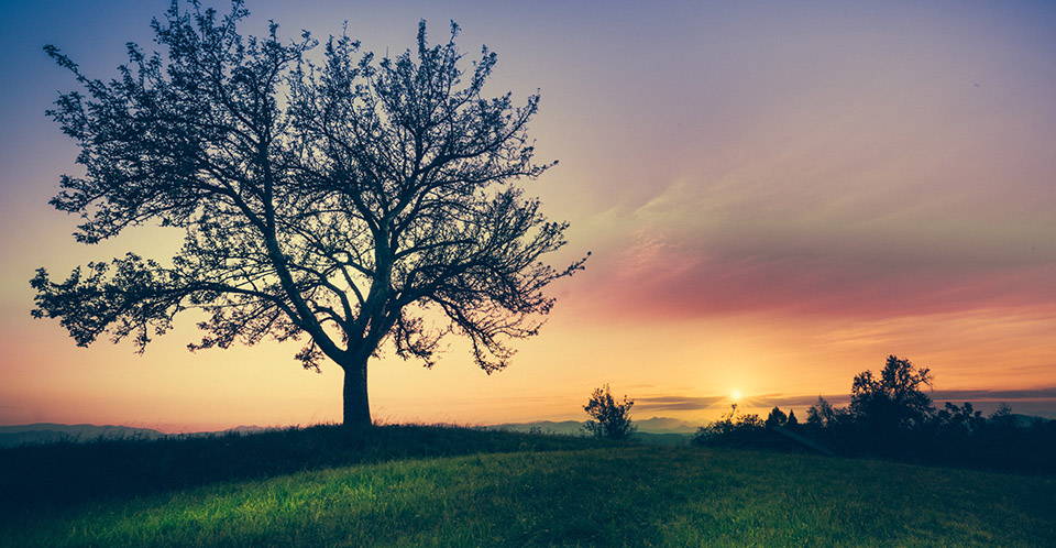 Mindfulness Mindfulness